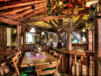 Foto: Grüner Baum